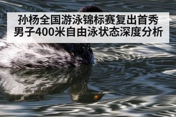孙杨全国游泳锦标赛复出首秀男子400米自由泳状态深度分析
